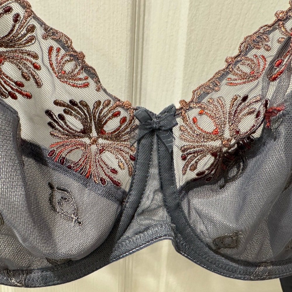 CHANTELLE Champs Elysées 36DD BRAND NEW W/TAGS
Full-cup bra grey with embroidery